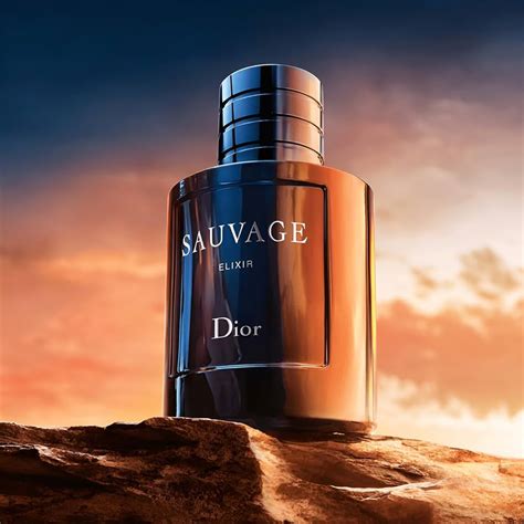 sauvage dior date sortie|Dior Sauvage price.